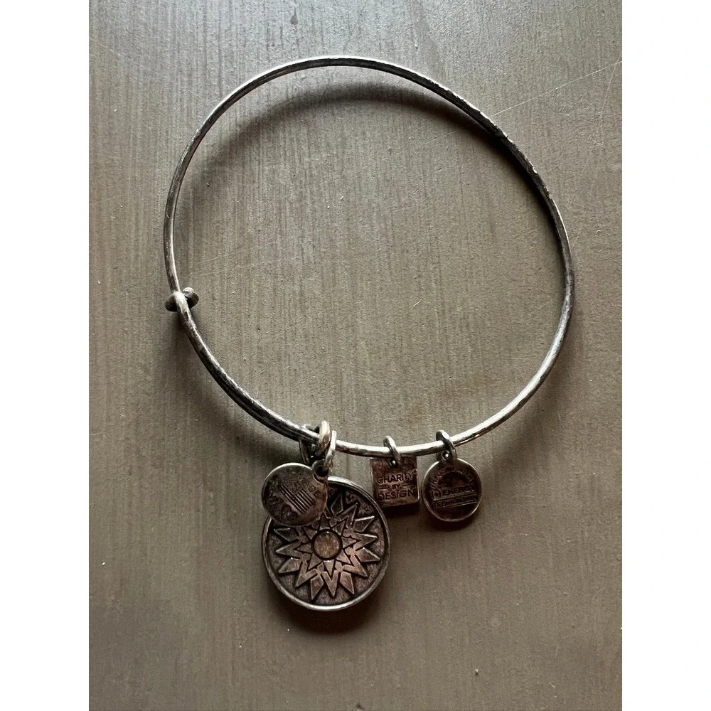 Alex and Ani Bangle Bracelet Lot 11pc Silver Gold Rose Gold Charms